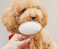 Drveni češalj za češljanje psa - više modela