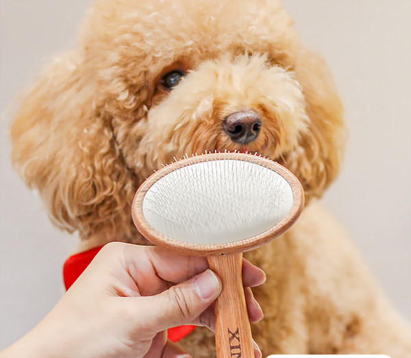 Drveni češalj za češljanje psa - više modela