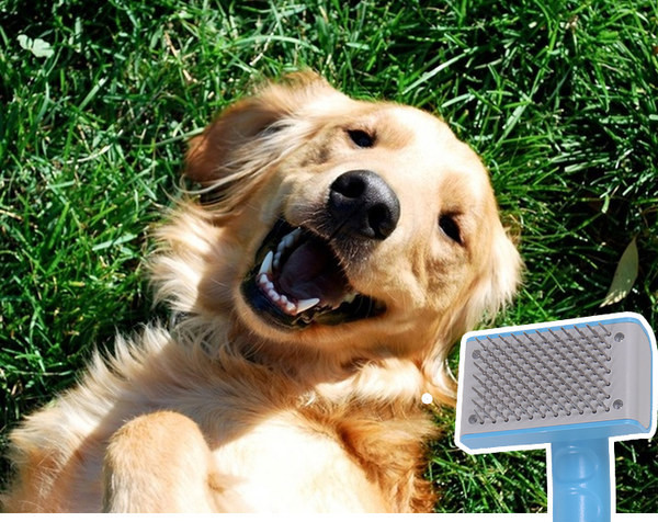 Kammikamm - koertele