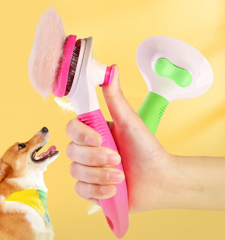 Kamm koera koduseks hooldamiseks