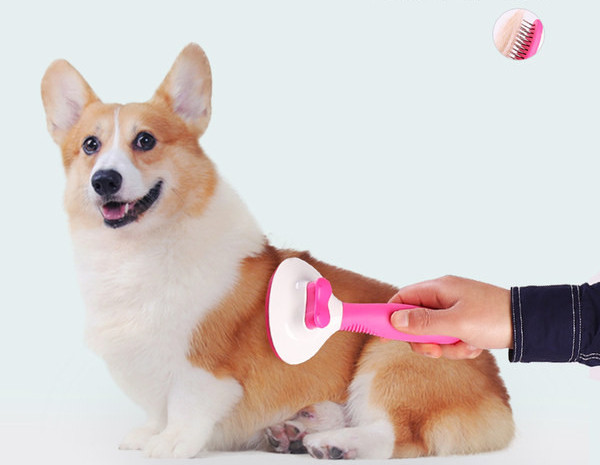 Kamm koera koduseks hooldamiseks