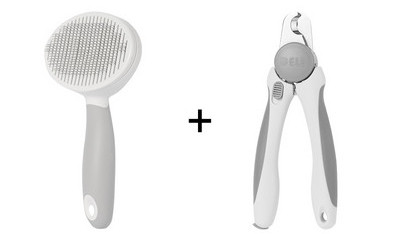 Hari koertele metallilõikuritega ja tangidega küünte lõikamiseks