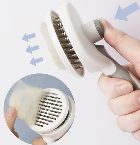 Hari koertele metallilõikuritega ja tangidega küünte lõikamiseks