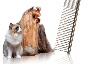 Ανοξείδωτη χτένα για την περιποίηση ενός σκύλου