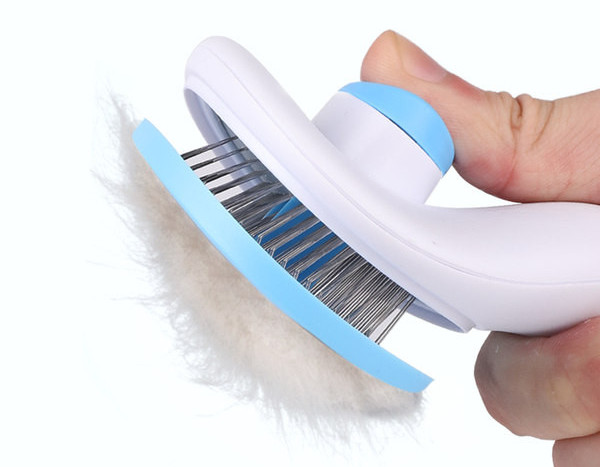 Pintsel või lemmikloomatarvikute komplekt