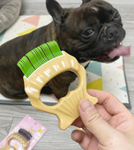 Lühikarvalistele koertele mõeldud kamm – kolm värvi