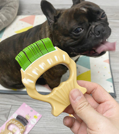 Lühikarvalistele koertele mõeldud kamm – kolm värvi