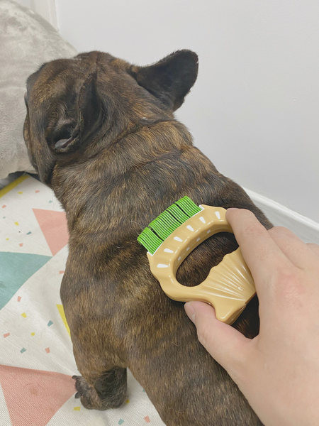 Lühikarvalistele koertele mõeldud kamm – kolm värvi