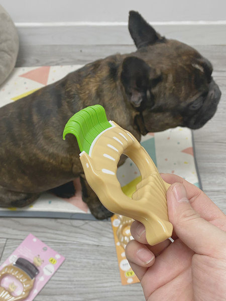 Lühikarvalistele koertele mõeldud kamm – kolm värvi