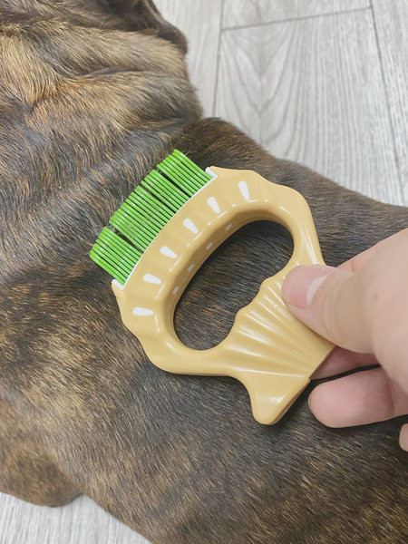 Lühikarvalistele koertele mõeldud kamm – kolm värvi