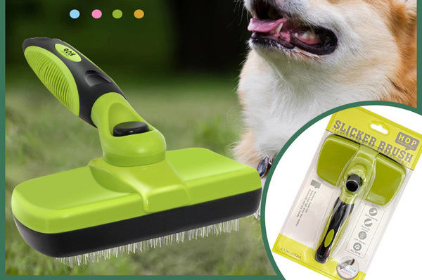 Četka za češljanje psa kod kuće