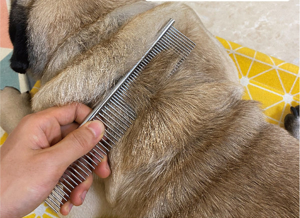 Pieptene metalic în trei dimensiuni pentru câini