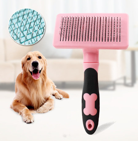 Hari koera kodus kammimiseks