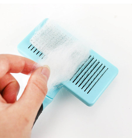 Hari koera kodus kammimiseks