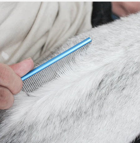 Pieptene pentru câini cu incisivi metalici rari