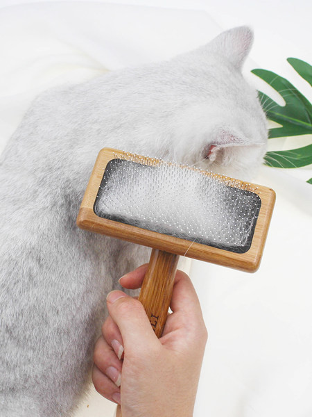 Četka za kućne ljubimce u različitim modelima za uklanjanje dlaka