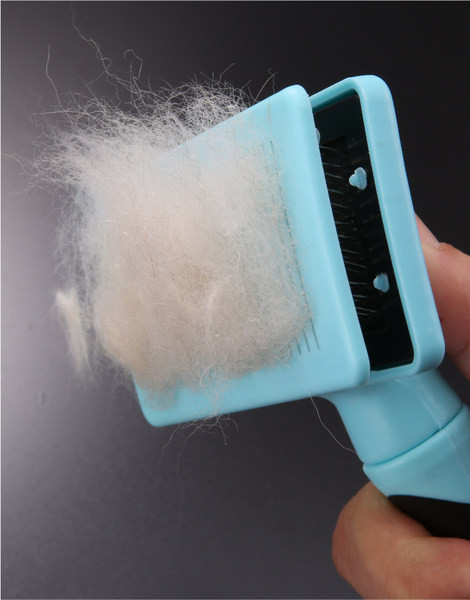 Kamm igapäevaseks hoolduseks - kaks mudelit