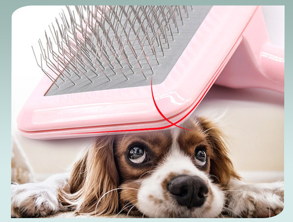 Βούρτσα - δύο μεγέθη