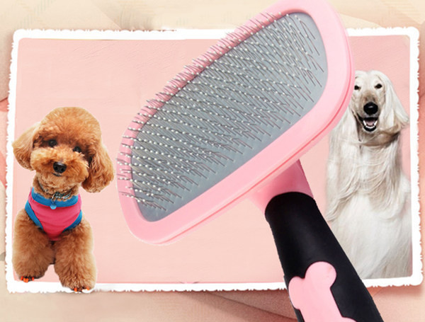 Perie pentru animale de companie