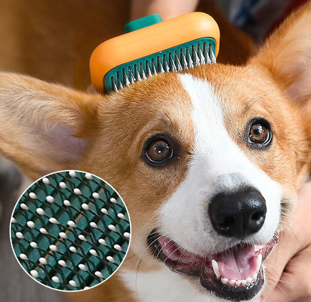 Mitmes värvitoonis koerahari juuste kammimiseks