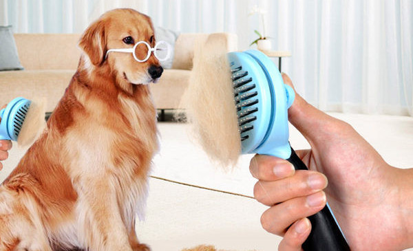 Hooldushari surnud juuste puhastamiseks