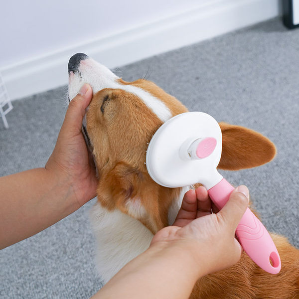 Hooldushari surnud juuste puhastamiseks