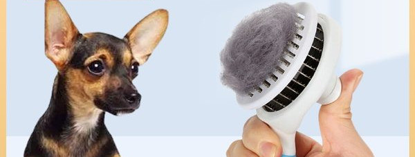 Birste smalkai suņu kopšanai vairāku modeļu