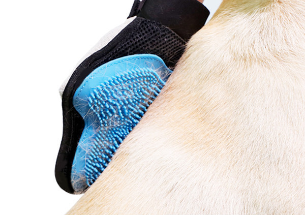 Pseća gumena rukavica pogodna za kupaonicu