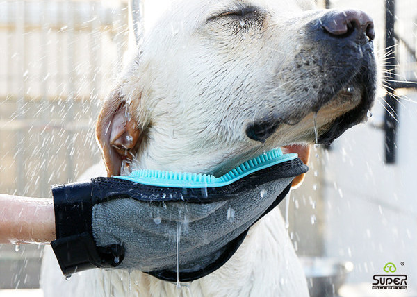 Pseća gumena rukavica pogodna za kupaonicu