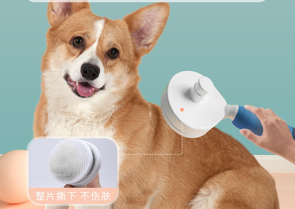 Στρογγυλή βούρτσα για χτένισμα - για σκύλο