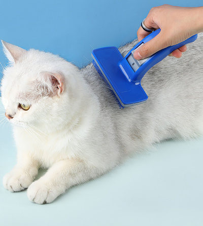 Perie pentru îndepărtarea părului pentru câini și pisici în două modele