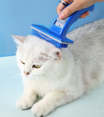 Perie pentru îndepărtarea părului pentru câini și pisici în două modele