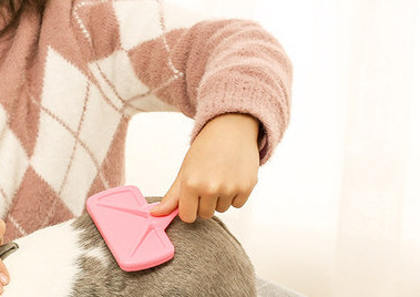 Perie pentru caini cu maner din plastic