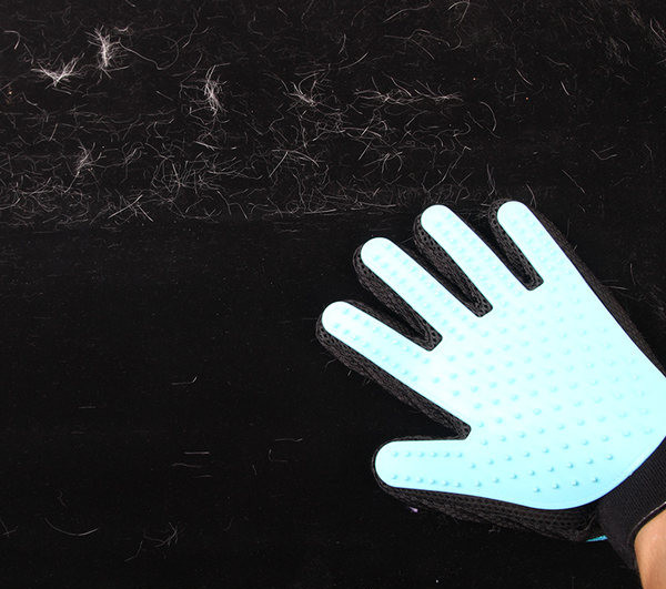 Massaažikinnas lemmikloomade juuste puhastamiseks