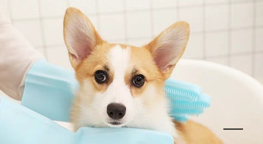 Kummikindad kammimiseks ja vannitamiseks