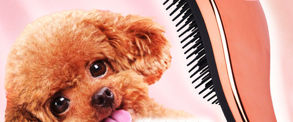 Massaažikamm koertele - mitut värvi