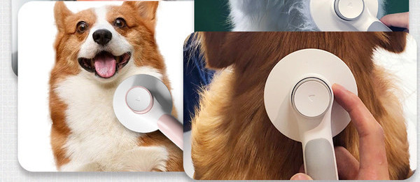 Ümmargune koerahari karusnaha puhastamiseks