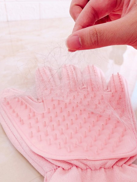 Kinnas lemmikloomade kammimiseks