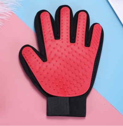 Kinnas kammimiseks või vannitamiseks - koerale