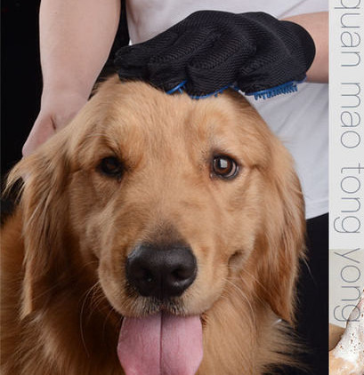 Kinnas kammimiseks või vannitamiseks - koerale