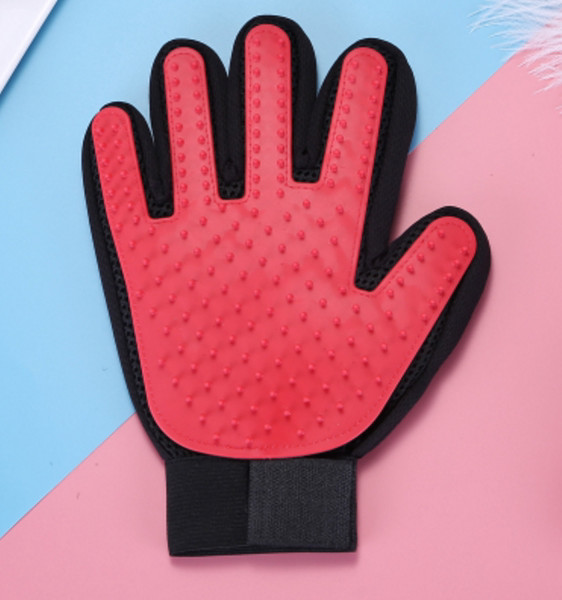 Kinnas kammimiseks või vannitamiseks - koerale