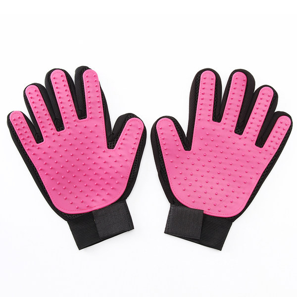 Kinnas kammimiseks või vannitamiseks - koerale