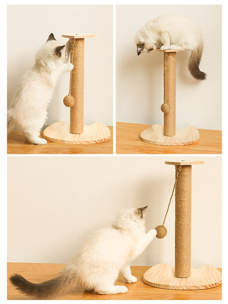 Mänguasi kasside kratsimiseks - mitu mudelit