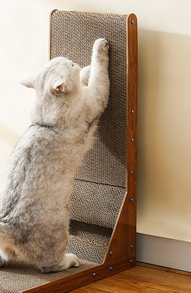 Draskiklis katei - skirtingi modeliai