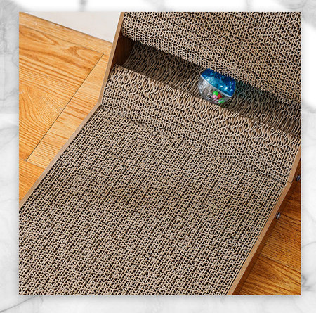 Draskiklis katei - skirtingi modeliai