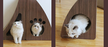 Ξύλινα ξύστρα για γάτες διάφορα μοντέλα