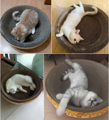 Lainepaberist kassikraabits