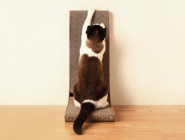 Zgarietoare pentru pisici - doua modele