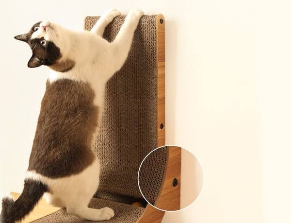 Zgarietoare pentru pisici - doua modele