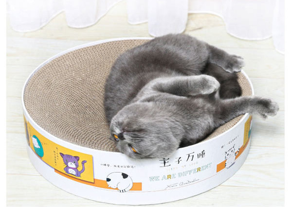 Scarlet pentru pisici din hartie ondulata mai multe modele